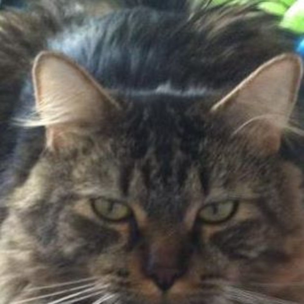 Meet your Posher, Bob